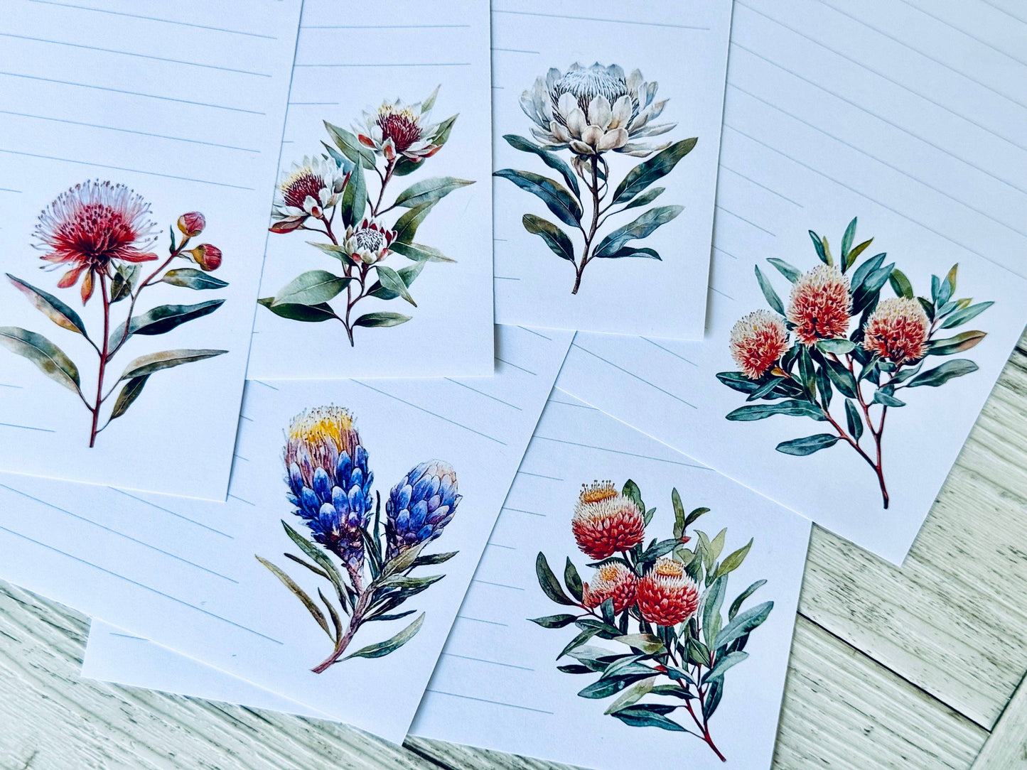 AUSTRALIAN Native Floral Letter Writing set: 12 Pages & 6 envelopes / Lined paper